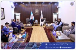 ملاقات وزیر صنعت و تجارت امارت اسلامی افغانستان با وزیر همکاری‌های بین‌المللی ولایت چلیابینسک فدراسیون روسیه