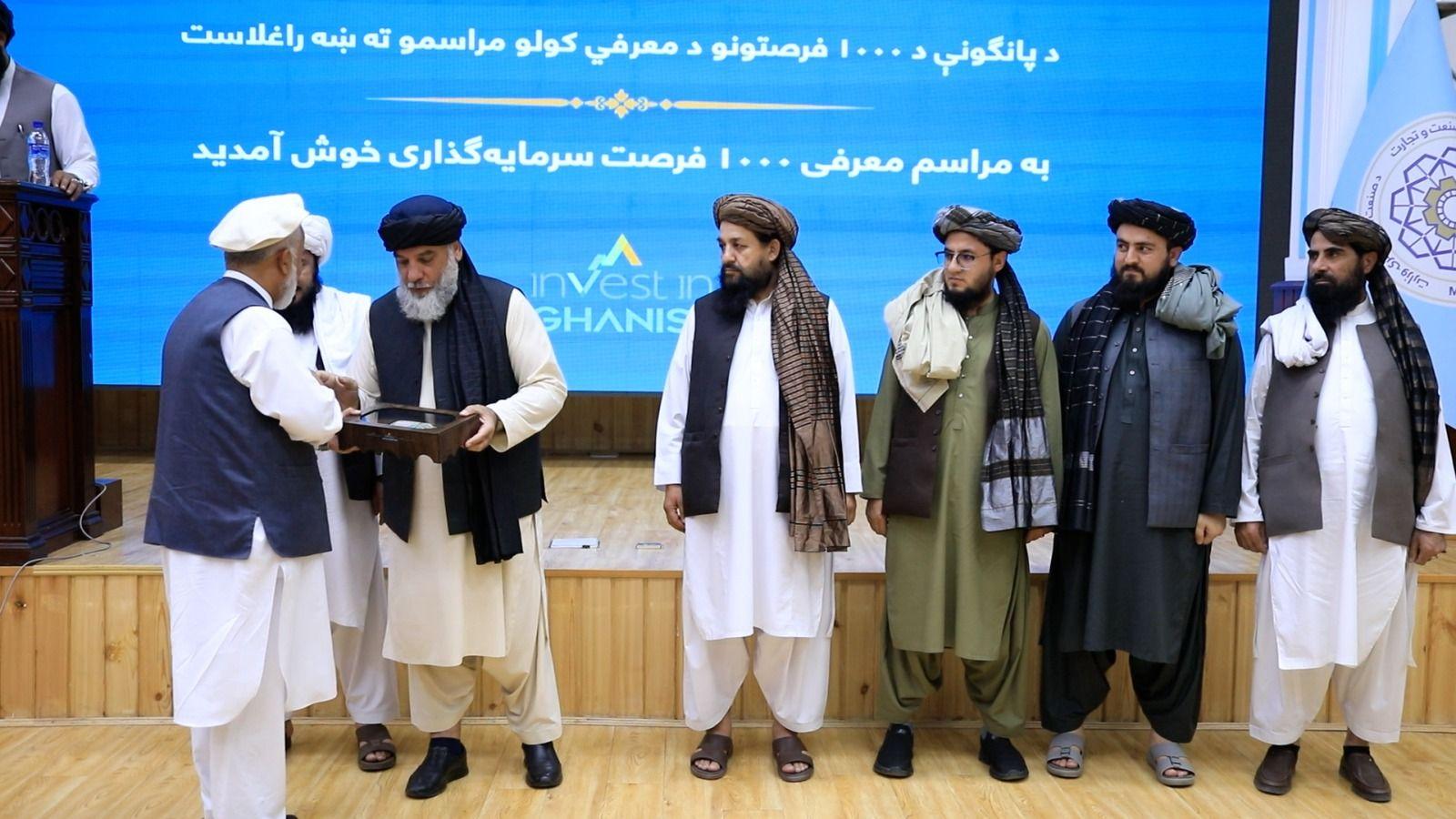 په ۱۰سکټورونو کې د پانګونې زر فرصتونه معرفي شول