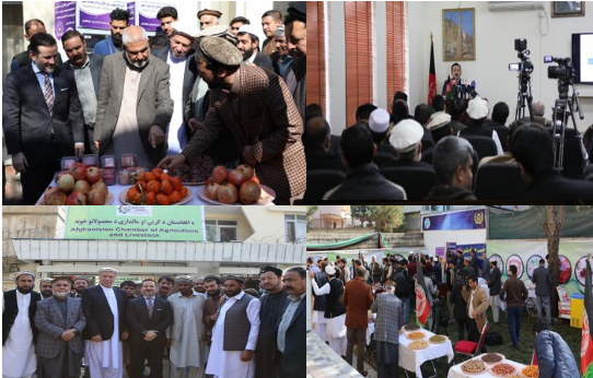 Exhibitions/Inauguration   On November 23, MoIC minister Ajmal InaugurationAhmady along with Mr. Nasir Ahmad Durani MAIL minister inaugurated the first Chamber of Agriculture of Afghanistan. In the ceremony traders, dairy producers and farmers attended expressed their joy