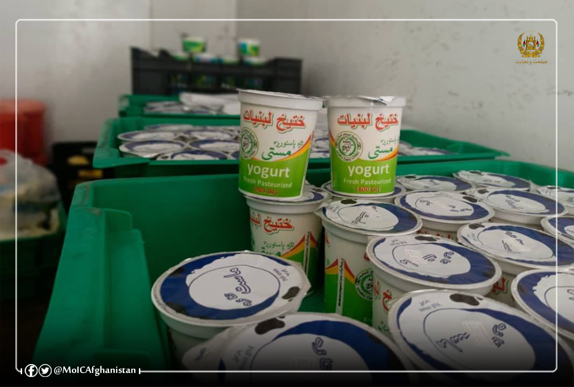 Increase in Dairy Production in Nangarhar Province