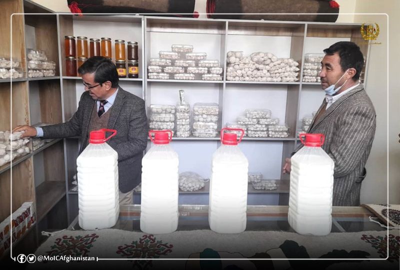Launching a Dairy Production, Processing and Packaging Center in Bamyan Province