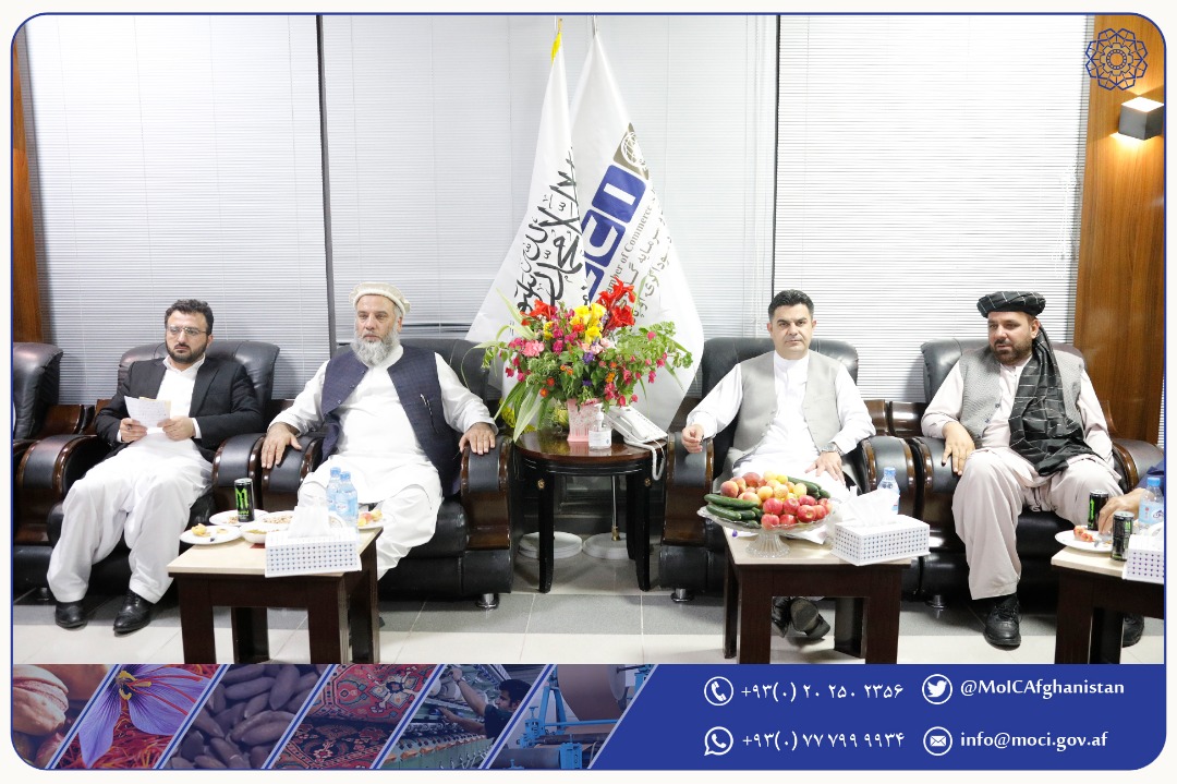 دیدار با اعضا و رهبری اتاق تجارت و سرمایه‌گذاری ولایت هرات