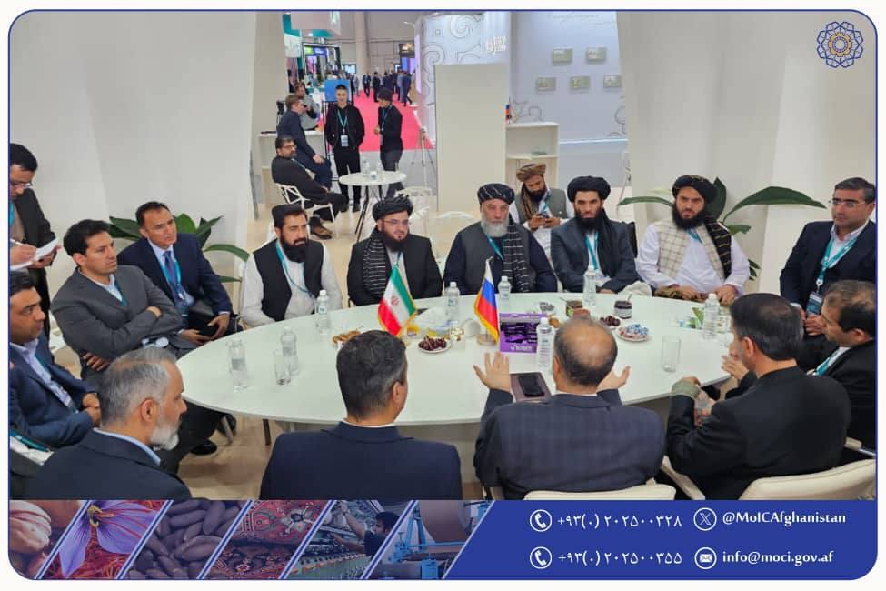 سرپرست وزارت صنعت و تجارت با سفیر جمهوری ایران مقیم مسکو در حاشیه فورم کازان دیدار و ملاقات نمود