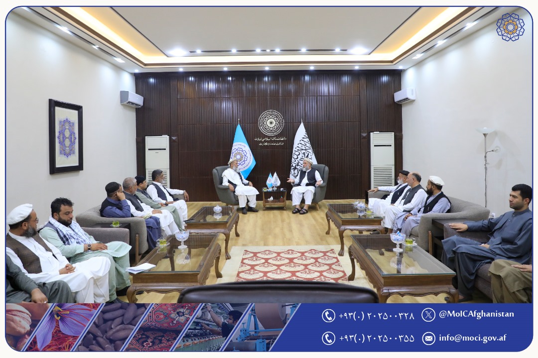دیدار هیئت رهبری اتاق تجارت و سرمایهگذاری ولایت ننگرهار با سرپرست وزارت صنعت و تجارت